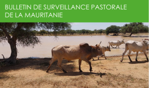 Bulletin surveillance pastorale Mauritanie Août-Septembre 2025