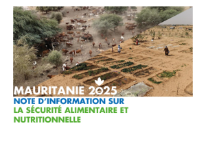 Note Soudure Mauritanie 2025 ONG - ACF